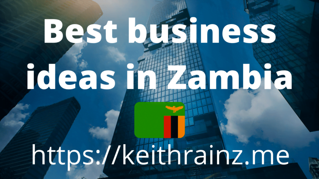 Best business ideas in Zambia