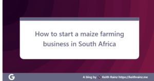 How to start a maize farming business in South Africa