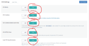 How To Remove Unused CSS In WordPress using LiteSpeed Cache Plugin