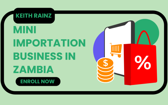 mini importation business in zambia